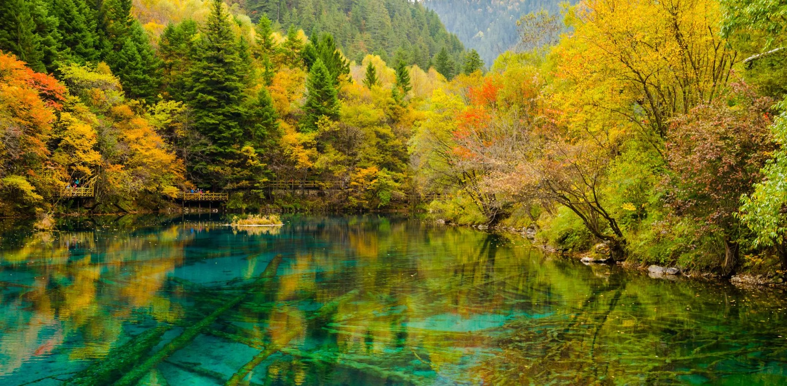 Jiuzhaigou Valley in autumn — turquoise lake surrounded by blazing red, orange and gold foliage